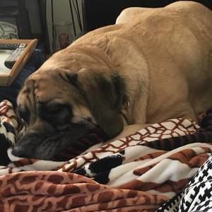 Meet your Posher, Daphnee